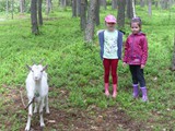 Łążek Garncarski 1d 2015 (9)